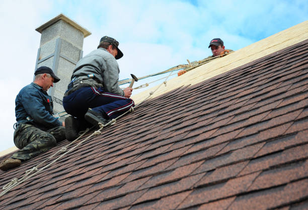 Best Commercial Roof Installation  in Argos, IN